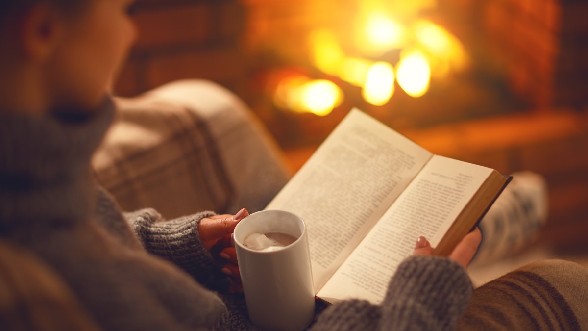 7 CEOs on the 'Innovative' and 'Timely' Books Everyone Should Read This Winter – NBC 7 San Diego - Vimarsana News