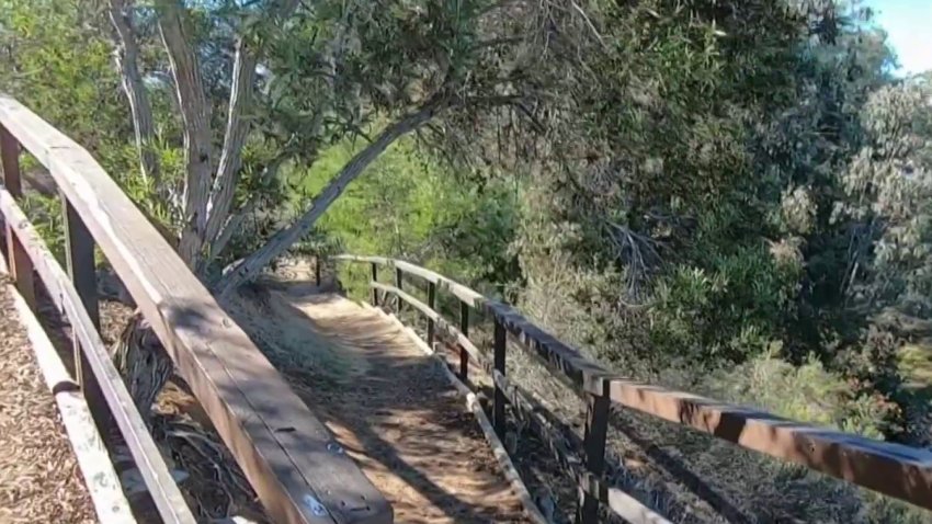 Future Chollas Creek Project Part of Bigger Plan to Transform Communities Along Watershed
