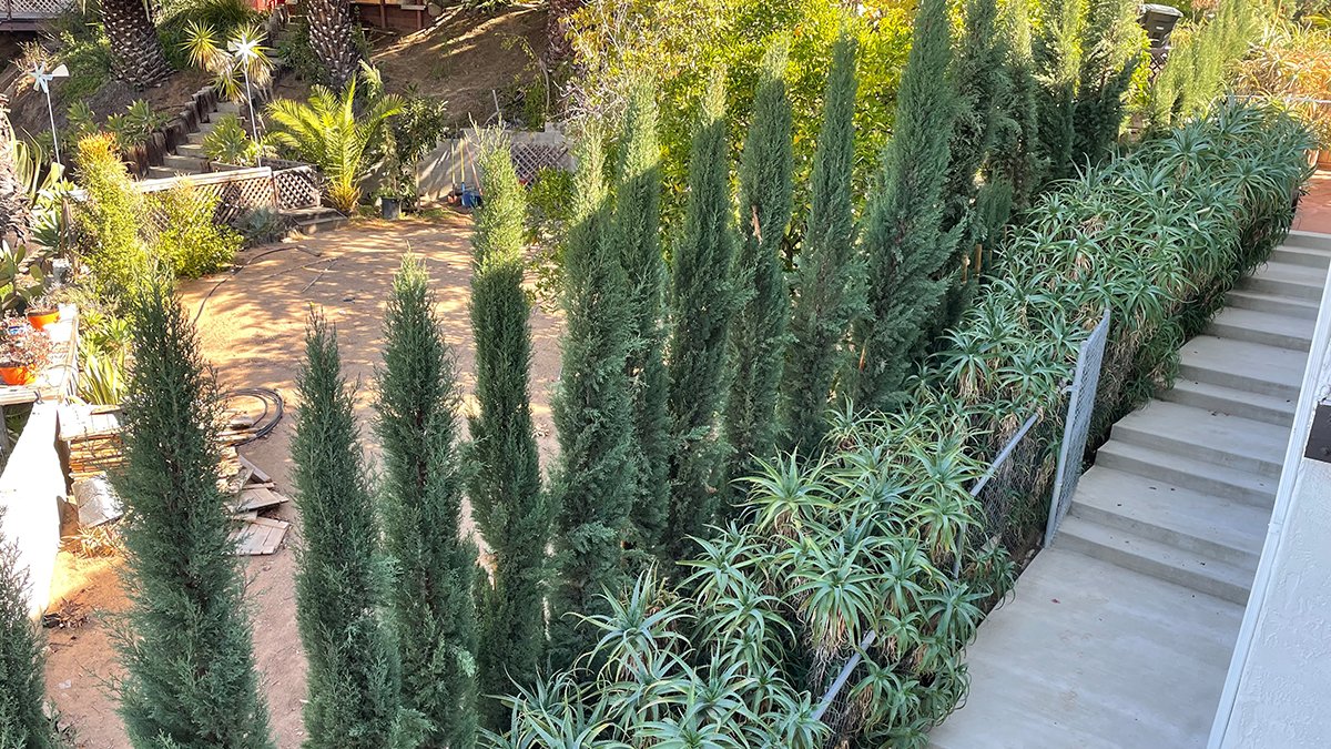 San Diego County Wildfire Prevention Laws Fail During Neighborhood