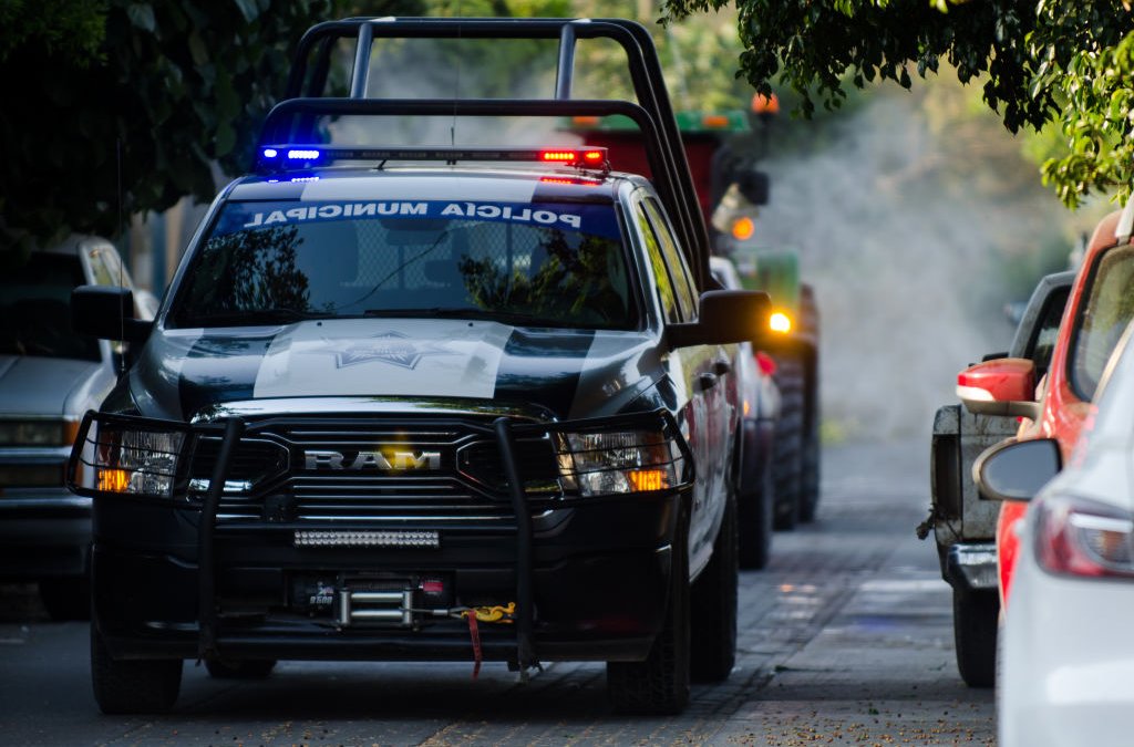 Police in Oaxaca, Mexico Spot Dog Carrying Human Arm in Its Mouth – NBC 7 San Diego - Vimarsana News