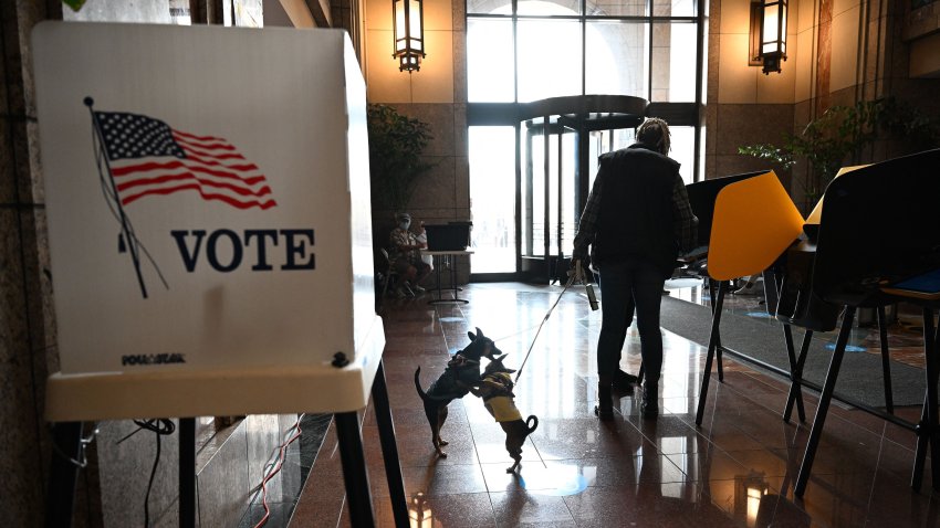 Two dogs play at a polling station.