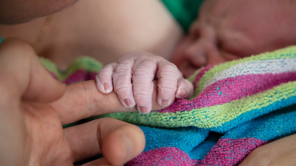 Home Births Increased in the US During COVID-19, Data Shows – NBC 7 San Diego - Vimarsana News