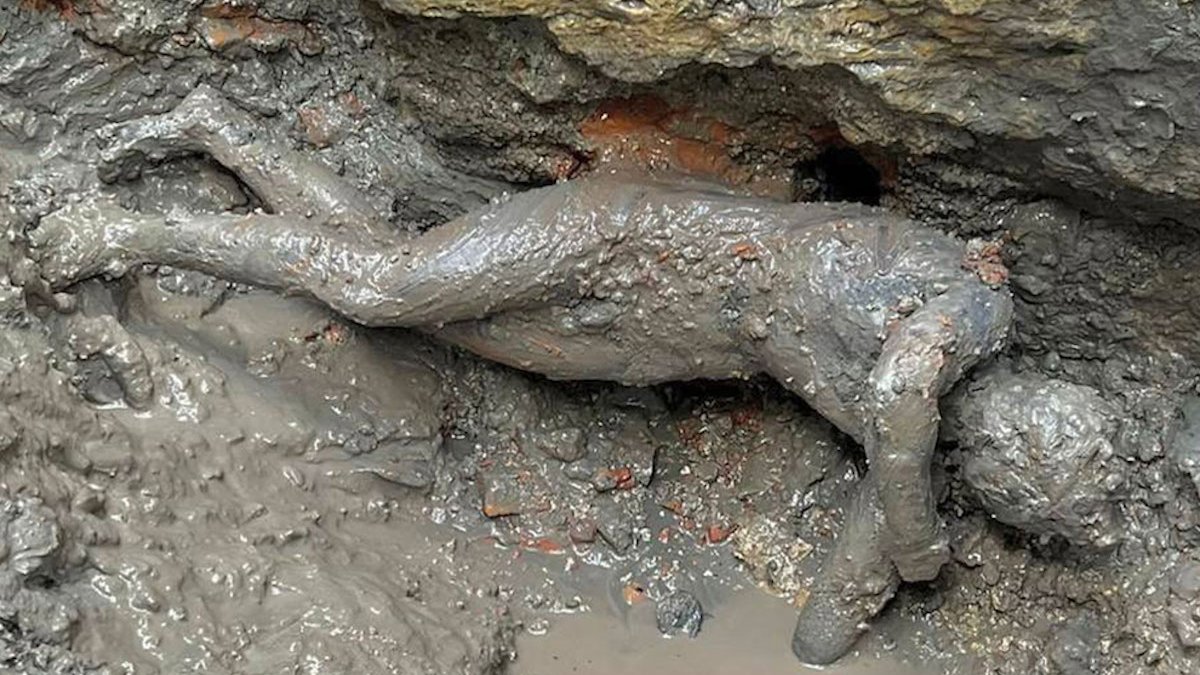 Discovery of Bronzes in Italy 'Rewrites History' of Etruscan to Roman Empire - Vimarsana News