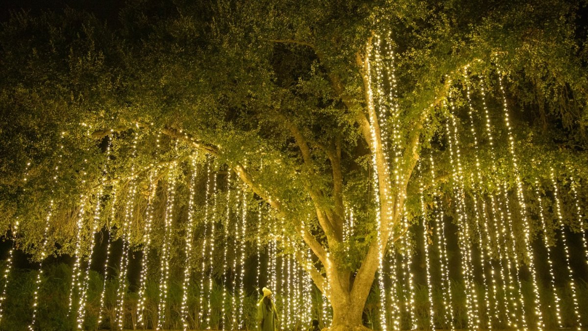 Highland Springs Is in Full, PhotoReady Twinkle This Season NBC 7