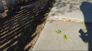 A lifted portion of sidewalk presenting a tripping hazard in City Heights.