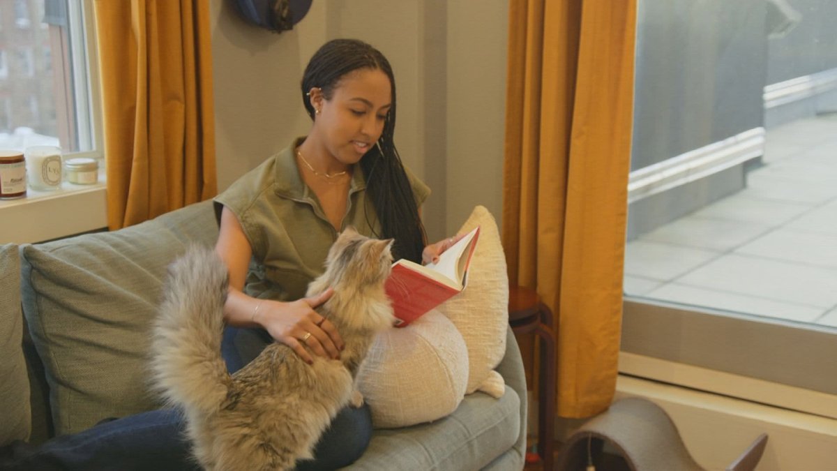 From 'Quiet Quitting' to 'Loud Layoffs,' Will Career Trends That Created a Buzz in 2022 Continue in the New Year? – NBC 7 San Diego - Vimarsana News