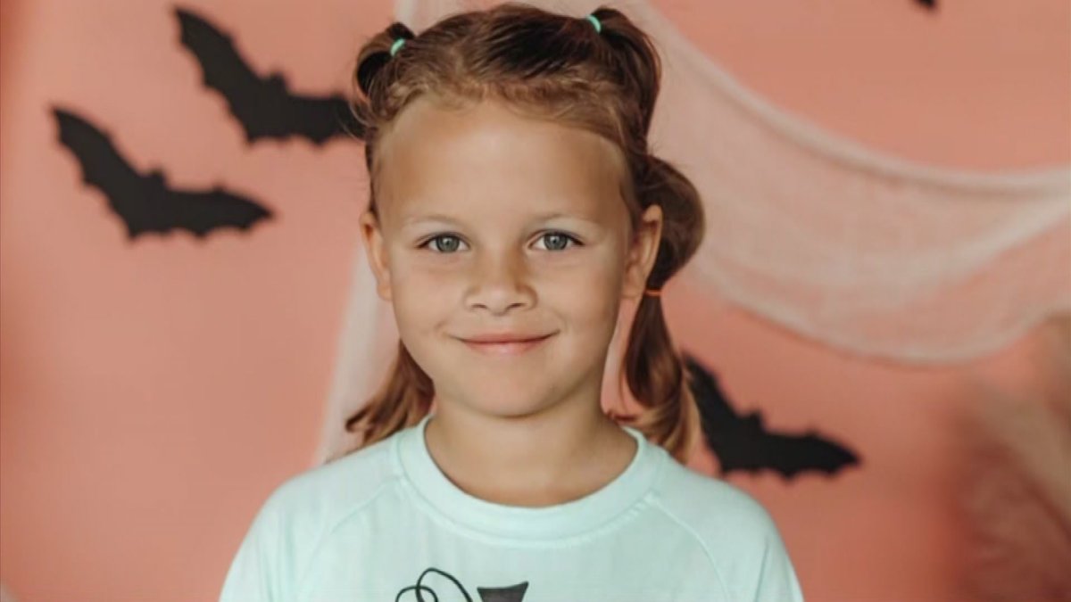 FedEx Driver Hit Girl With Truck, Strangled Her After She Said She Was Going to Tell Her Dad: Affidavit – NBC 7 San Diego - Vimarsana News
