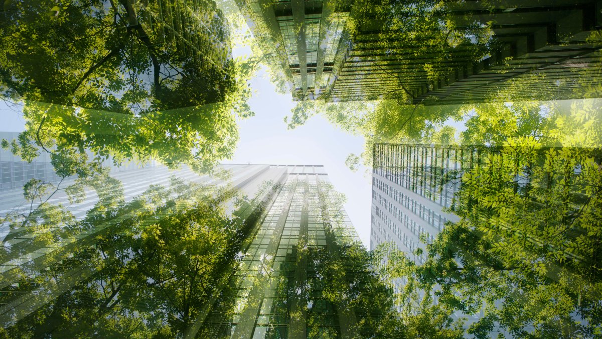 'Green' Offices in London Are Over 25% More Expensive. But a Modern Workforce Now Expects It – NBC 7 San Diego - Vimarsana News