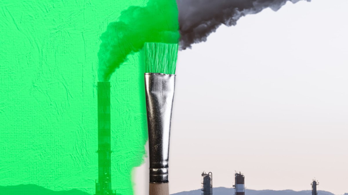 Travel Companies Are 'Greenwashing' — Here Are 3 Ways to Find Ones That Aren't – NBC 7 San Diego - Vimarsana News