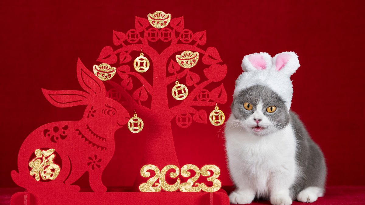 Lunar New Year 2023 - Animal, Dates & Celebrations