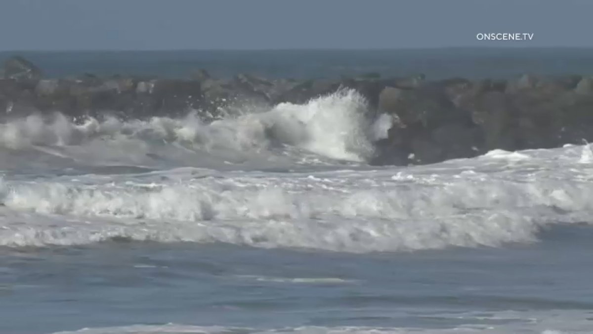 'Not a Beginner's Day': Even Experienced Surfers (and a Corgi) Got Caught in San Diego's Big Waves – NBC 7 San Diego - Vimarsana News