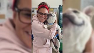 A Chula Vista woman and her long-missing French bulldog, Muny, reunite in Northern California more than a year after his disappearance.