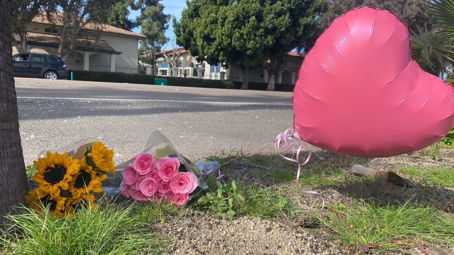 SUV Appears Split in Half After Oceanside Crash That Killed Mom, 6-Year ...