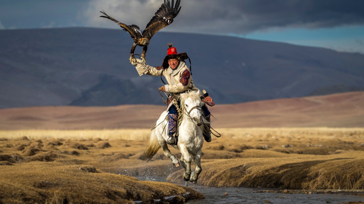 See the Photos That Won National Geographic's 'Pictures of the Year' Contest – NBC 7 San Diego - Vimarsana News
