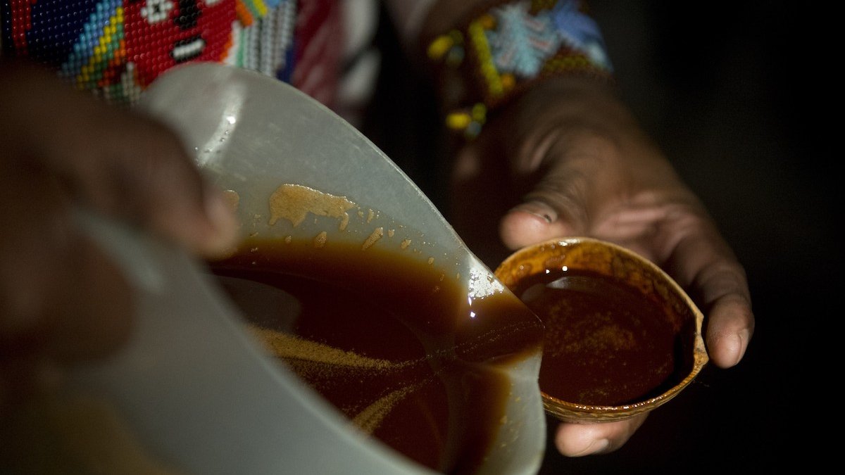 What Is Ayahuasca? Treatments, Legality, Side Effects and More – NBC 7 San Diego - Vimarsana News