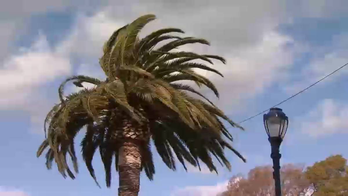 Santa Ana weather returns to San Diego midweek, bringing warmer temperatures – NBC 7 San Diego