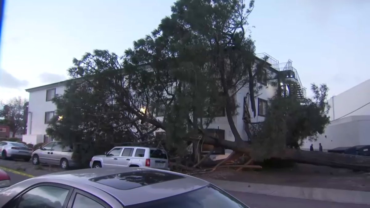 Damage From February Storm in San Diego County – NBC 7 San Diego - Vimarsana News