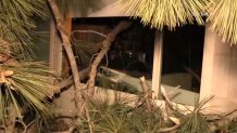 A pine tree landed on a couple's Del Mar home overnight on Feb. 22, 2023.