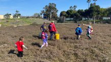 Volunteers clean the Kendall-Frost Marsh in Mission Bay on Love Your Wetlands Day 2023.