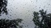How much rain fell from this storm? See rainfall totals in San Diego County