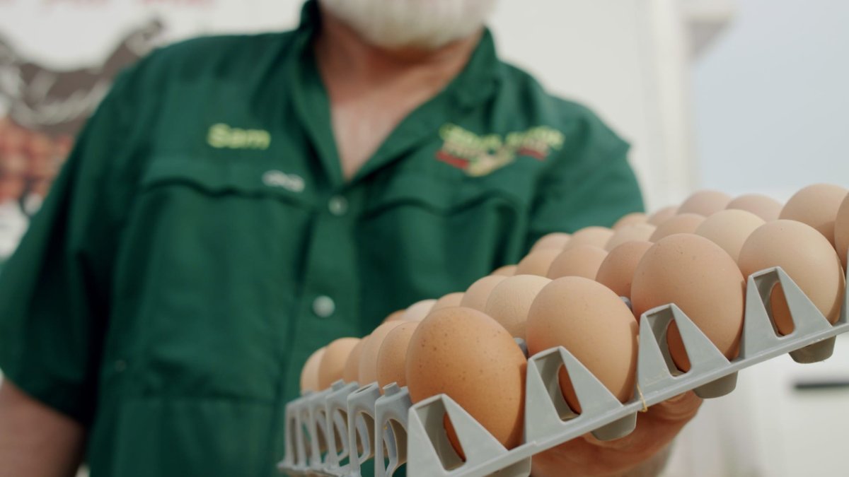 Egg Prices Increased 70% Over the Last Year—Here's Why - Vimarsana News