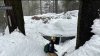 San Diegans Escape Cabin Buried by 2 Feet+ of Snow, Cal Fire Helps Others Still Trapped in San Bernardino Mountains