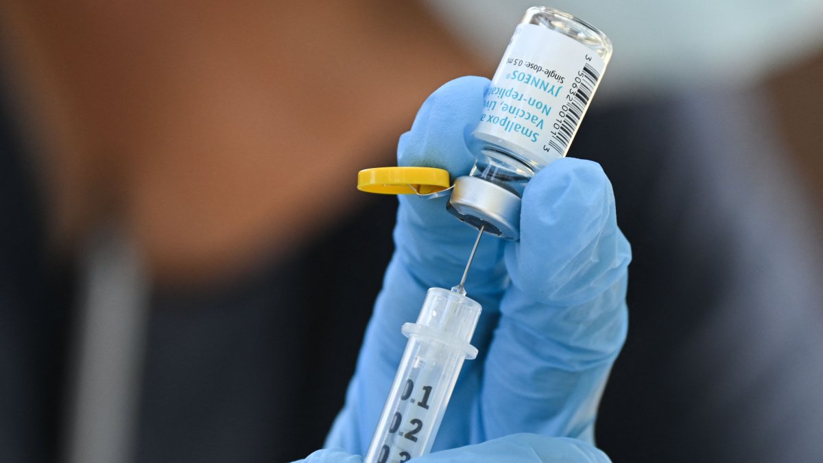 Mpox Outbreak Was Wake-Up Call for Smallpox Preparation, Vaccine Maker Bavarian Nordic Says - Vimarsana News