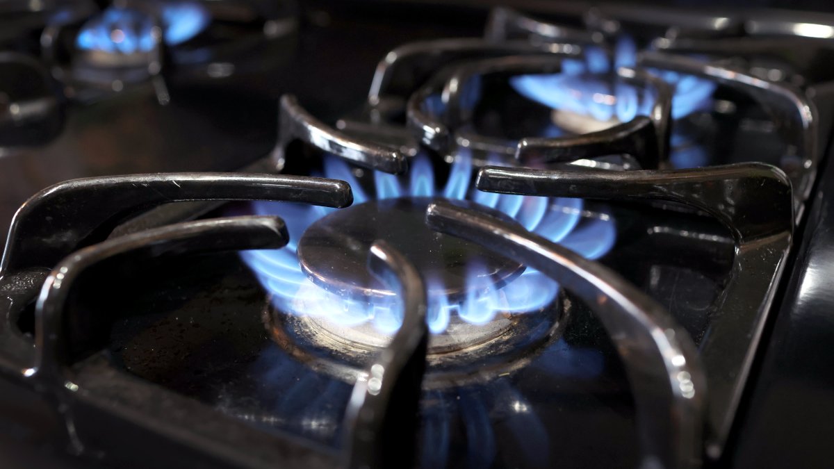 Court Tosses Berkeley Gas Ban – NBC 7 San Diego - Vimarsana News