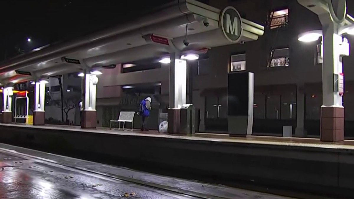 Two Teens Arrested in Man's Stabbing Death Aboard Blue Line Train - Vimarsana News