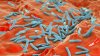 San Diego County working with homeless shelters after possible tuberculosis exposure
