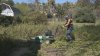 Overgrown Weeds in San Diego? They Could Become Dangerous Fuel for Wildfires