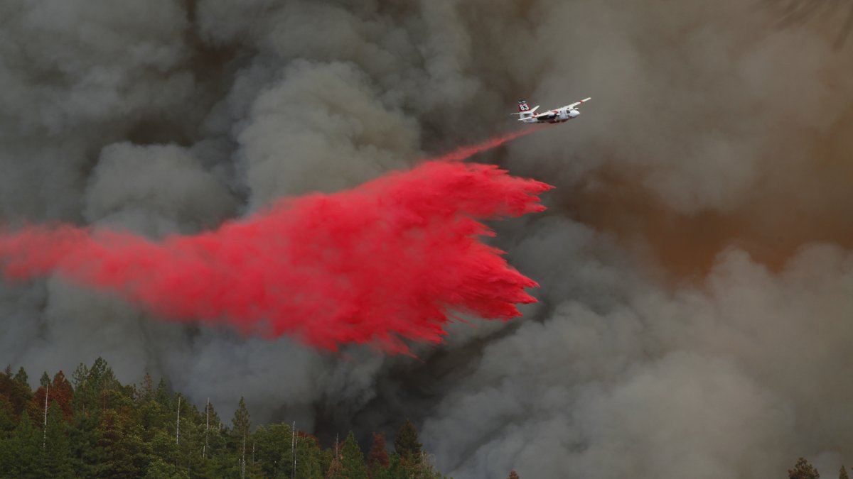 U.S. Judge Says Fire Retardant Pollutes Streams – NBC 7 San Diego - Vimarsana News