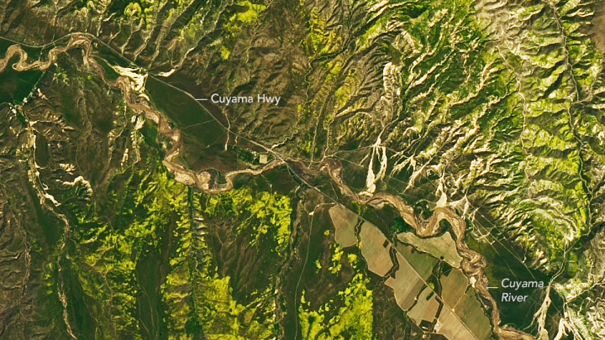 NASA Images show California's Superbloom: Here's Where You Can See It In SoCal – NBC 7 San Diego - Vimarsana News