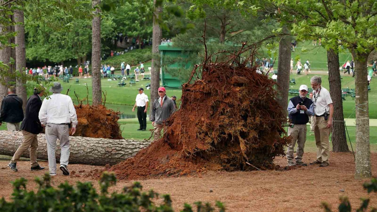 Árboles caen cerca de espectadores de Augusta National, Masters suspendido – Telemundo San Diego (20)