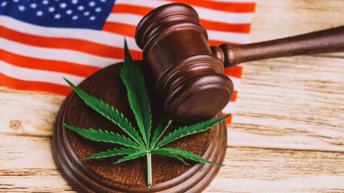 Here Are All the States That Have Legalized Weed in the US – NBC 7 San Diego - Vimarsana News