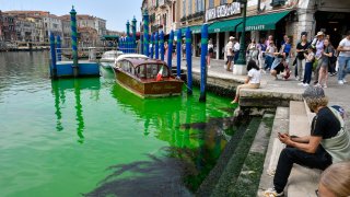 People look at Venice's historical Grand Canal as a patch of phosphorescent green liquid spreads in it