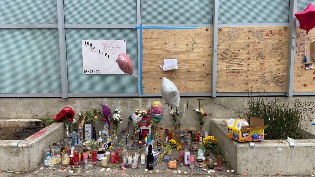 'I Hope He Suffers': Girlfriend of Man Killed Near Downtown San Diego Library Shares Message for Suspect - Vimarsana News