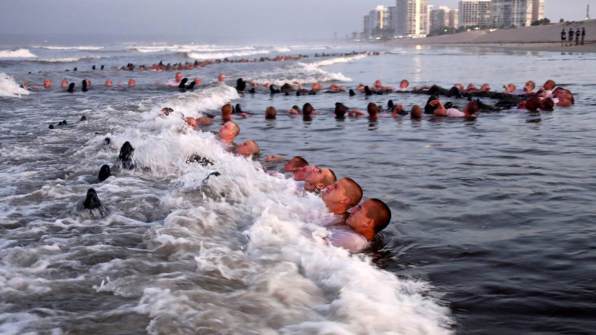 SEALs Training Plagued by Pervasive Problems, Navy Finds – NBC 7 San Diego - Vimarsana News