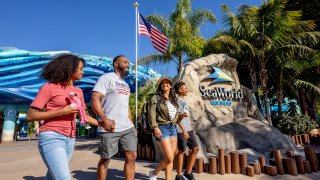 A generic image of guests at SeaWorld San Diego.