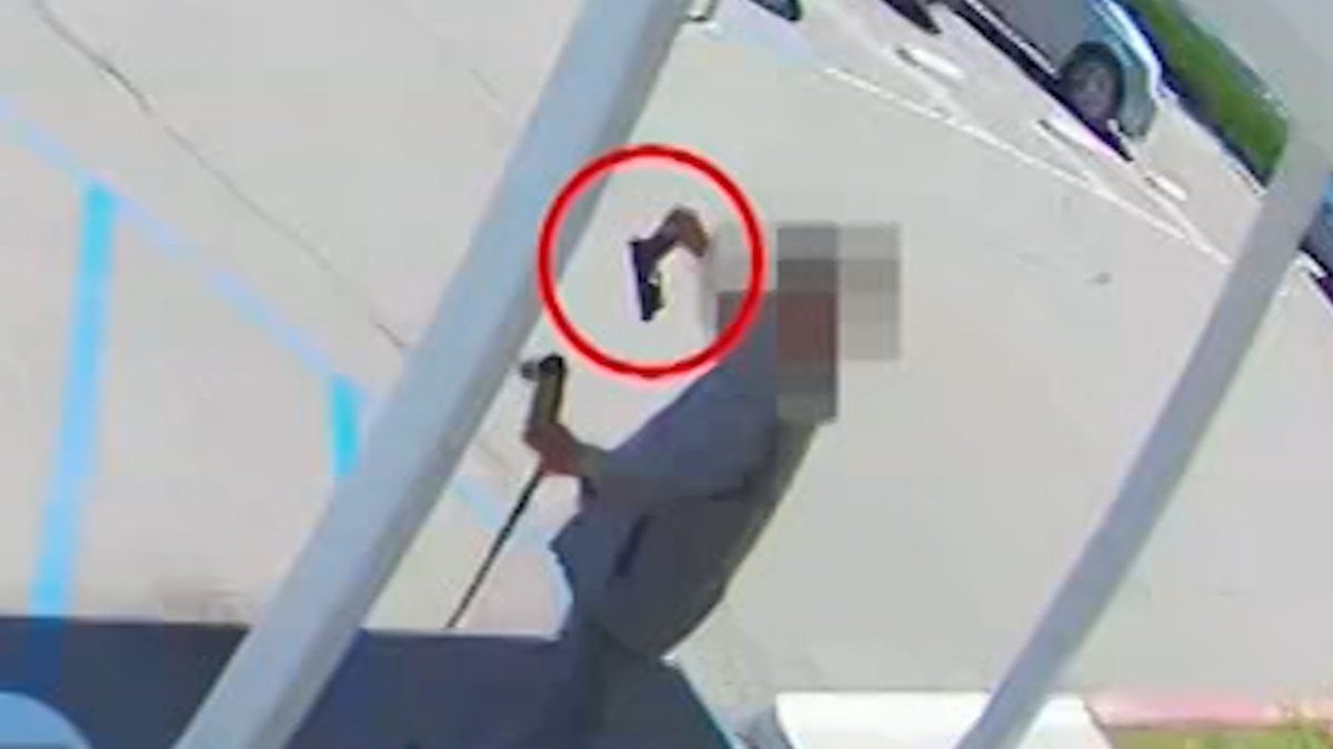 Elderly Man Shot By Deputy in Vista Was Holding Gun By End of Pistol Grip - Vimarsana News