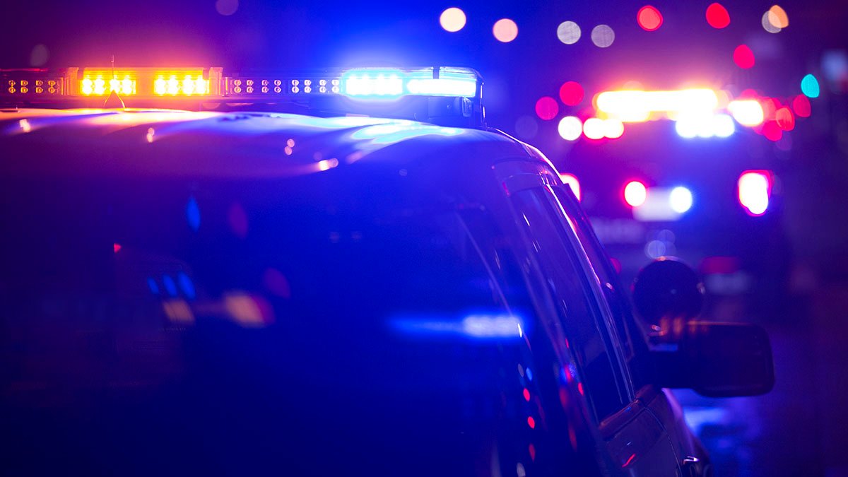 Multiple violent incidents in San Diego County over Halloween weekend - Vimarsana News
