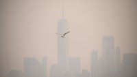 FAA Halts Flights Bound for New York's LaGuardia Airport Amid Smoke From Canadian Wildfires
