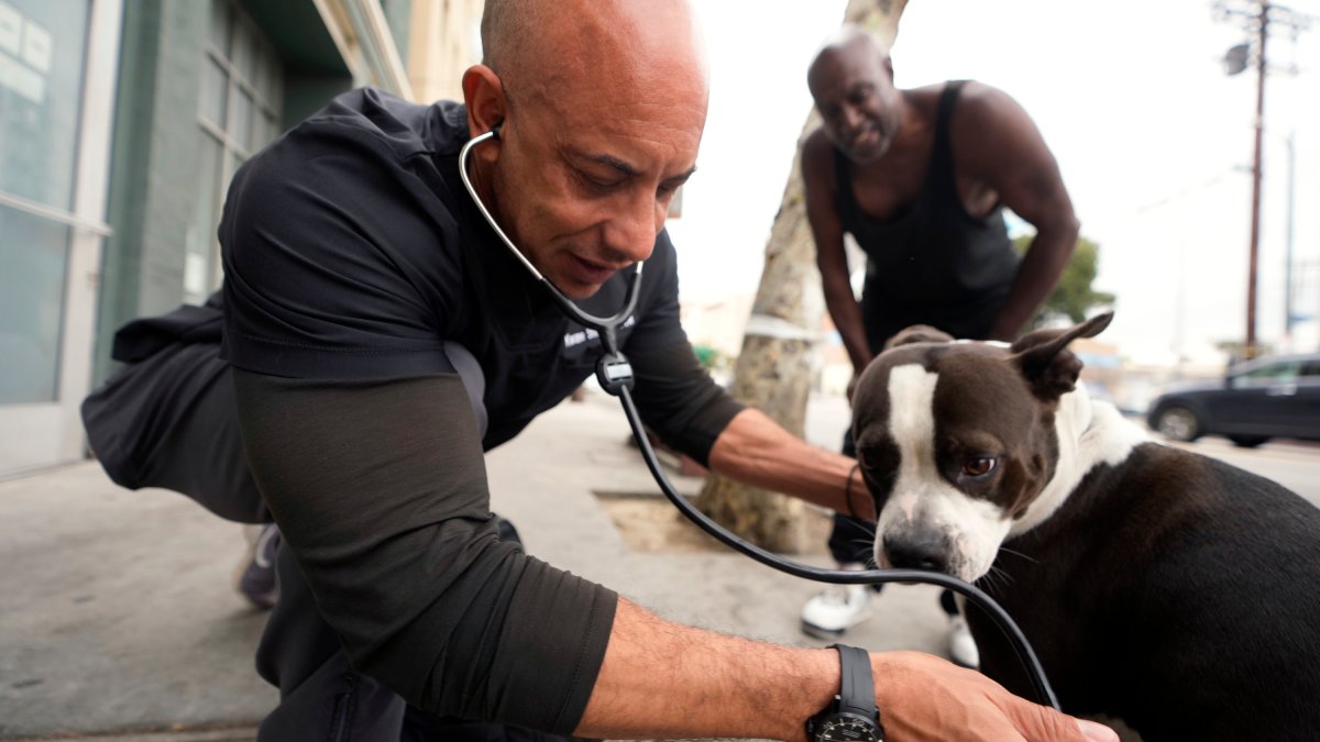 Kwane Stewart, San Diego 'street vet,' gets $90K grant – NBC 7 San Diego - Vimarsana News