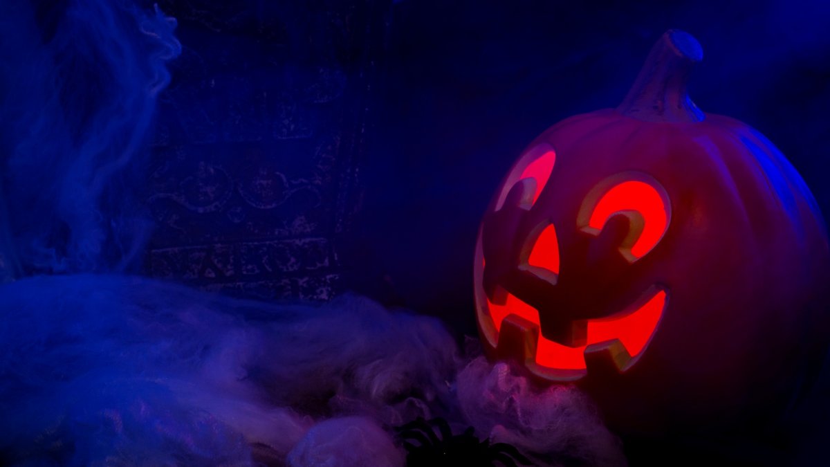 Frightful first: Midsummer Scream's eerie 'Hall of Shadows' to haunt for three days – NBC 7 San Diego - Vimarsana News