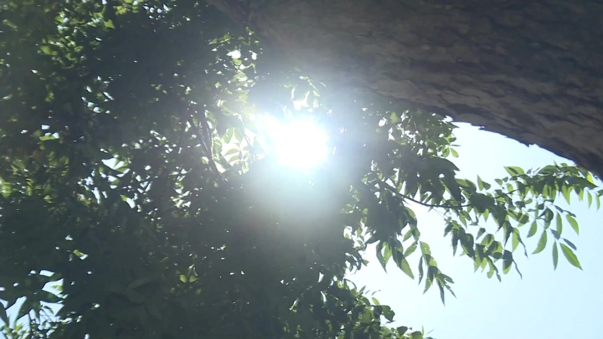 No end in sight to San Diego’s relenting heat wave as temps push into ...