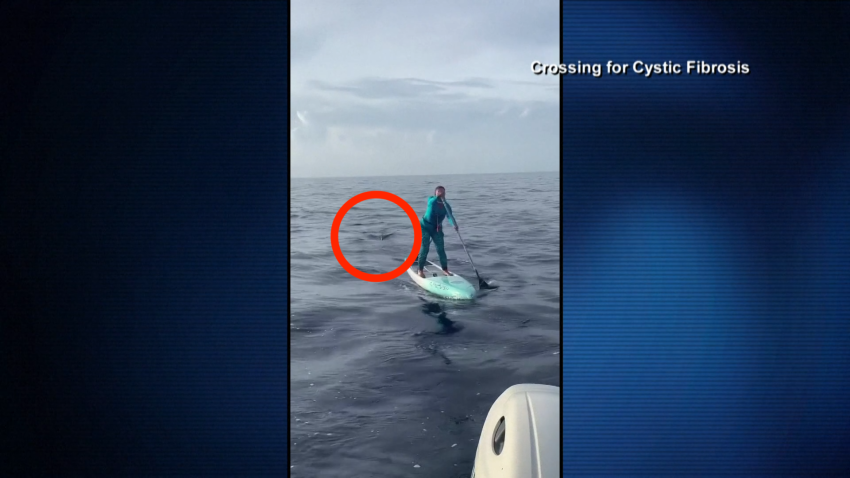 WATCH: Florida paddleboarder has close encounter with shark