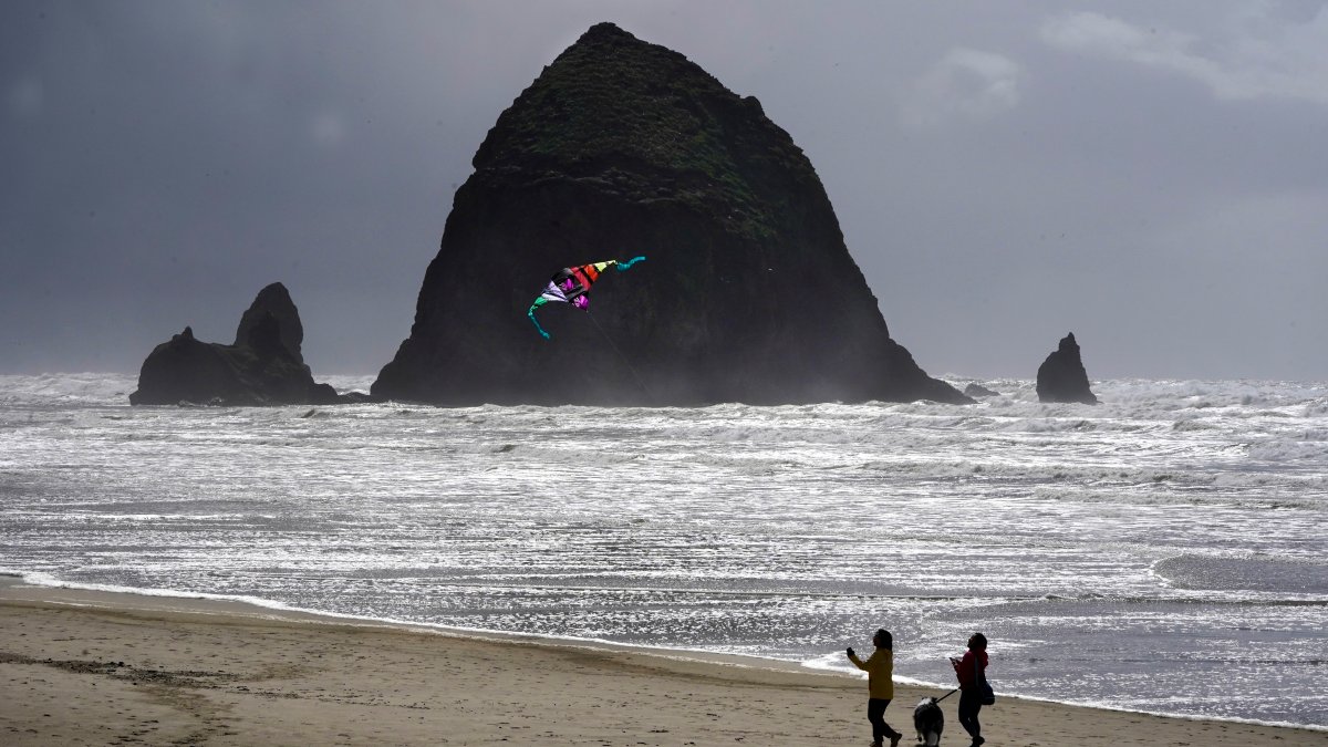 Oregon's Cannon Beach reopens after cougar sighting – NBC 7 San Diego - Vimarsana News