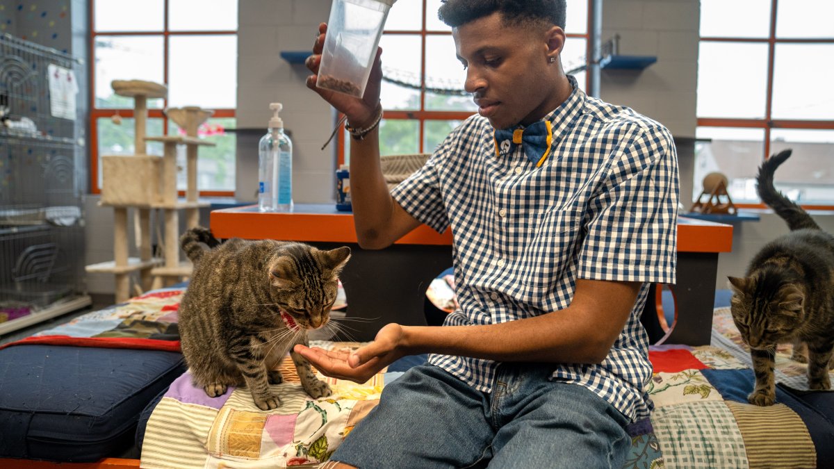 Teen's mission is to save shelter animals one bow tie at a time – NBC 7 San Diego - Vimarsana News