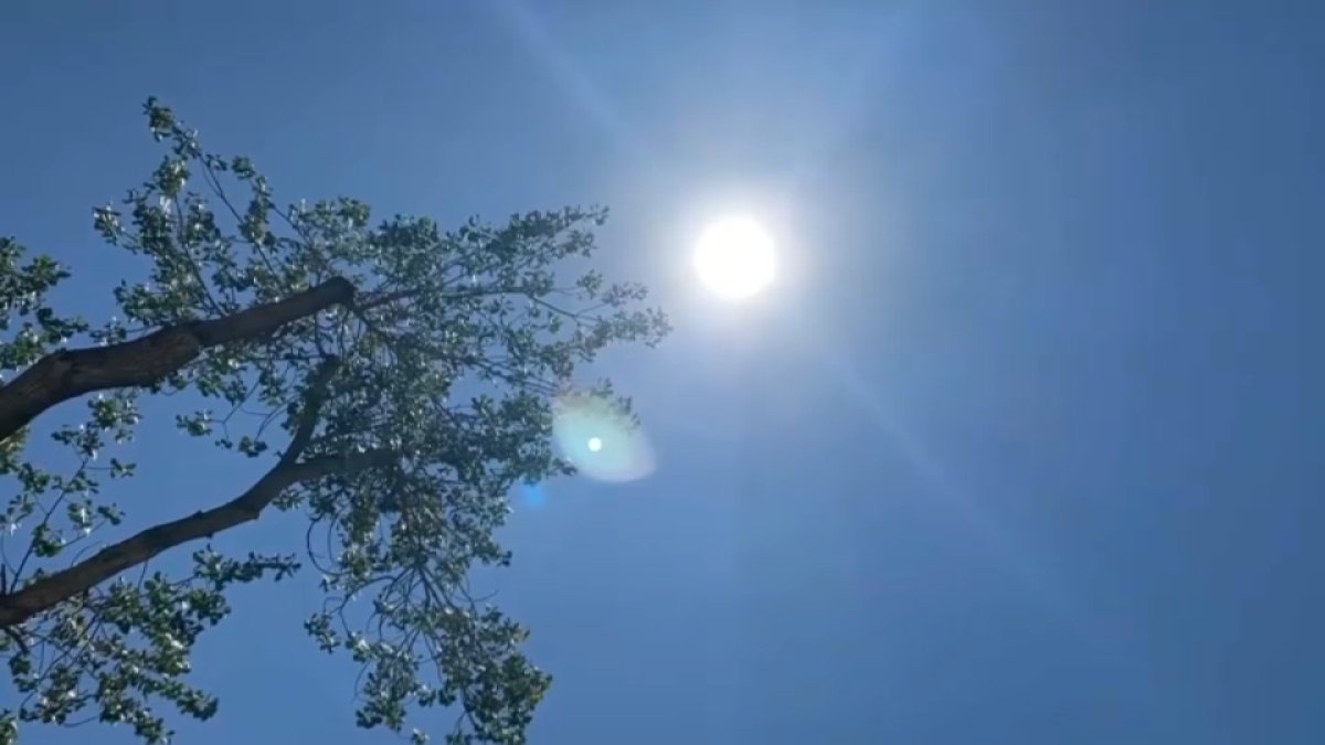 Mid South Heatwave: Showers Arrive, But Will They Save Us? - 48zguv4