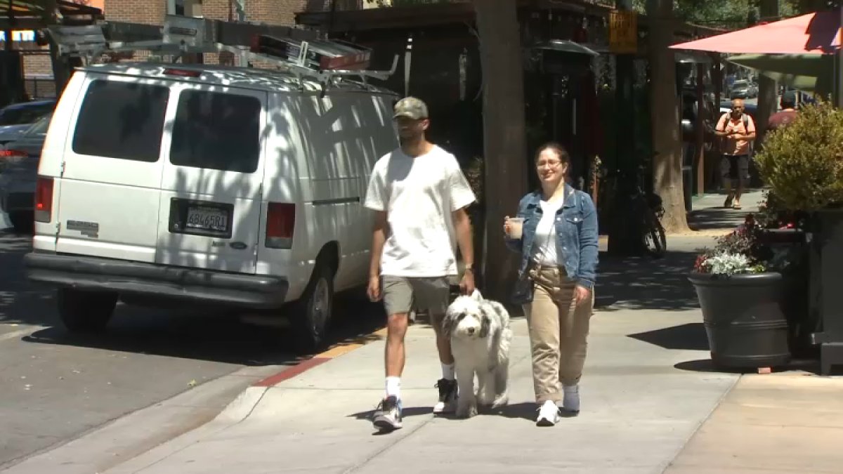 Here's why Millennials are struggling to afford houses in the Bay Area – NBC 7 San Diego - Vimarsana News